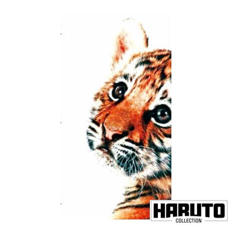 ハルコレ｜デザインシート｜HCL-B0018