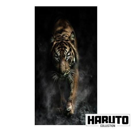 ハルコレ｜デザインシート｜HCL-B0020