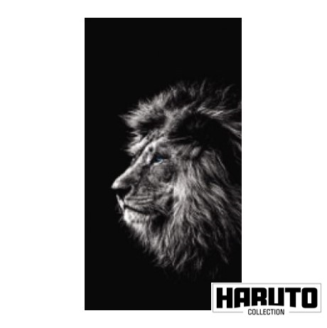 ハルコレ｜デザインシート｜HCL-B0023