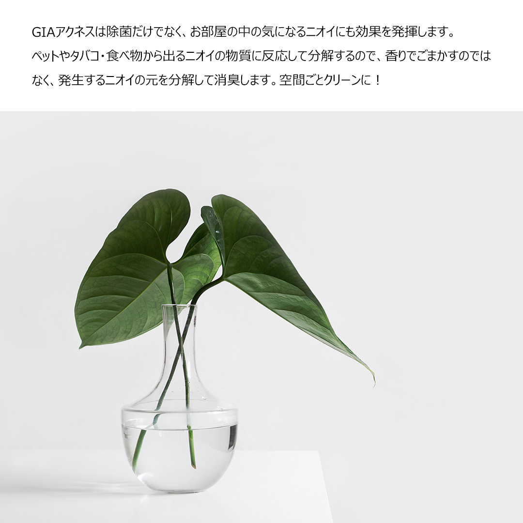 GIAアクネス｜200ppm｜20L