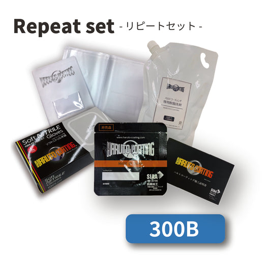 リピートセット300 【B】
